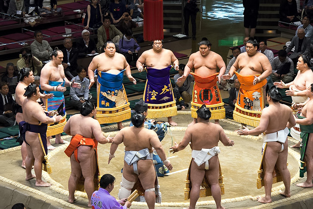 Sumo Fighter Photos