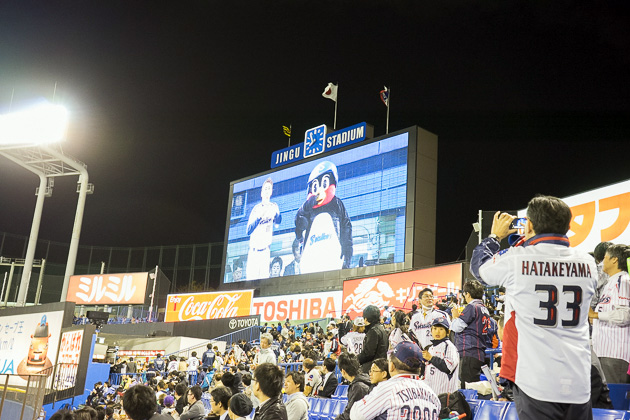 He loves the Yakult Swallows in Tokyo - The Raji Club