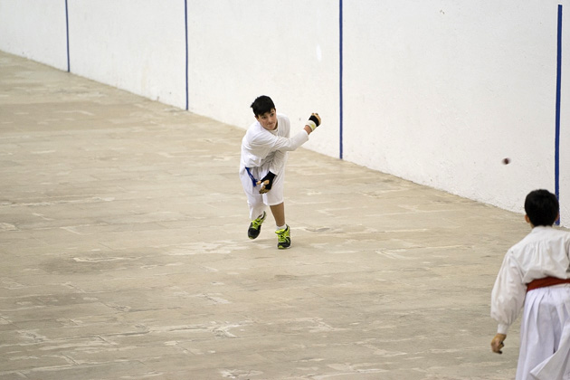 Pilota in action