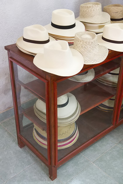 becal panama hats