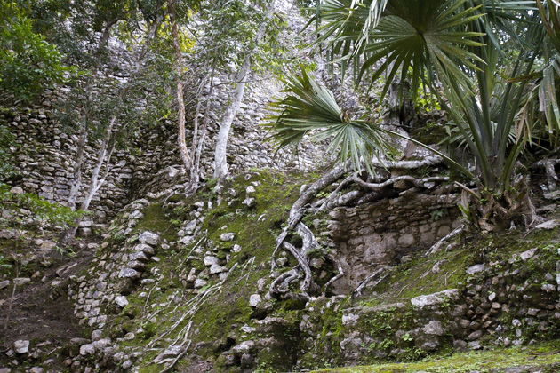 04%20Coba%20Maya%20Ruins%20%20Coba%20Maya%20Ruins%2020140120%20for91days.com