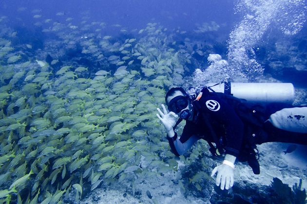 13%20Diving%20Puerto%20Morelos%20Fish%20Market%20%20Diving%20In%20Puerto%20Morelos%20Fish%20Market%2020140117%20for91days.com