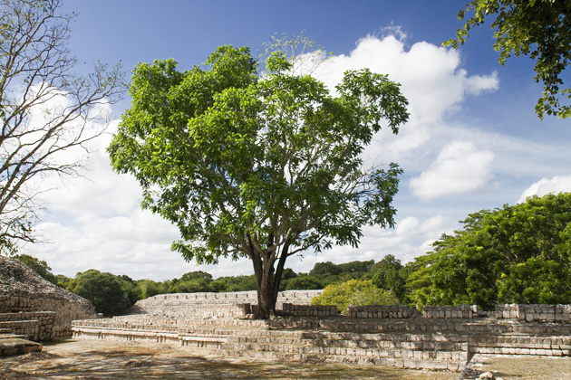 08%20Edzna%20Maya%20Ruins%20Edzna%20Maya%20Ruins%2020131230%20for91days.com