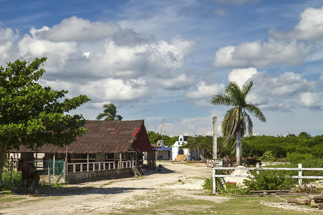 Rancho Buenavista - On Horseback Through Cozumel - The Yucatan For 91 Days