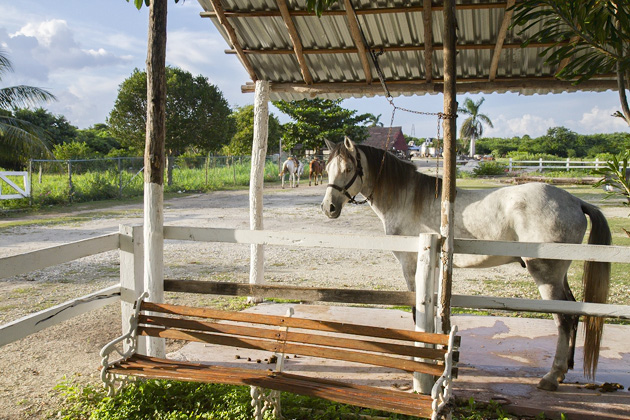 Rancho Buenavista - On Horseback Through Cozumel - The Yucatan For 91 Days