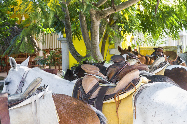 Horse%20Back%20Riding%20Cozumel%2006Horse%20Back%20Riding%20Cozumel%2020131125%20for91days.com