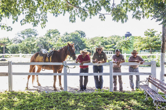 Horse%20Back%20Riding%20Cozumel%2009Horse%20Back%20Riding%20Cozumel%2020131125%20for91days.com