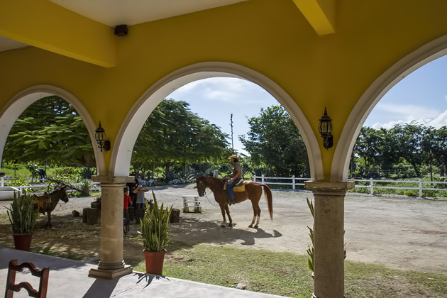 Horse%20Back%20Riding%20Cozumel%2010Horse%20Back%20Riding%20Cozumel%2020131125%20for91days.com