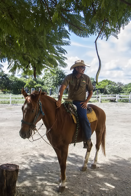 Horse%20Back%20Riding%20Cozumel%2011Horse%20Back%20Riding%20Cozumel%2020131125%20for91days.com