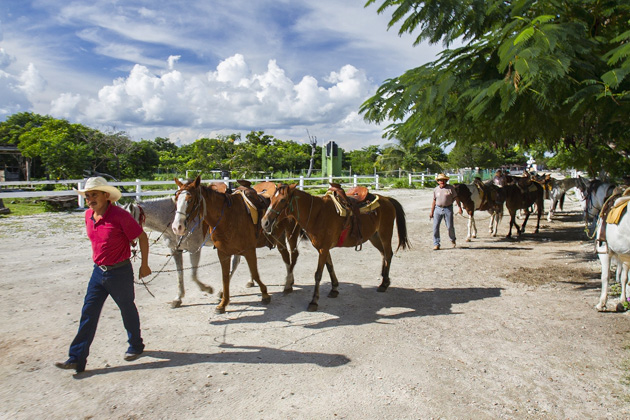 Horse%20Back%20Riding%20Cozumel%2012Horse%20Back%20Riding%20Cozumel%2020131125%20for91days.com