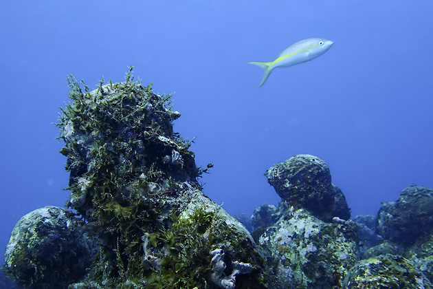 10%20Isla%20Mujeres%20Underwater%20Museum%20Manchones%20Reef%20Diving%20Isla%20Mujuere%2020131215%20for91days.com