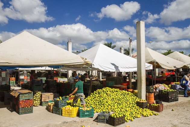 Markets%20Merida%2047Merida%20Market%2020131205%20for91days.com