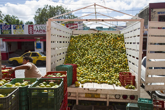 Markets%20Merida%2050Merida%20Market%2020131205%20for91days.com