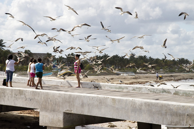 28%20Progreso%20Yucatan%20Progreso%20Yucatan%2020131227%20for91days.com