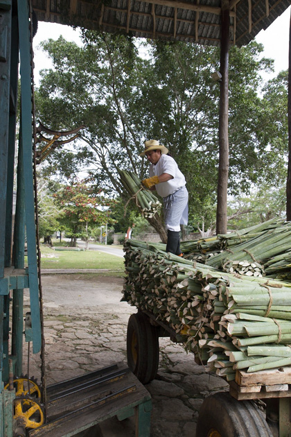 26%20Hacienda%20Sotuta%20de%20Peon%20Hacienda%20Sotuta%20de%20Peon%2020140124%20for91days.com