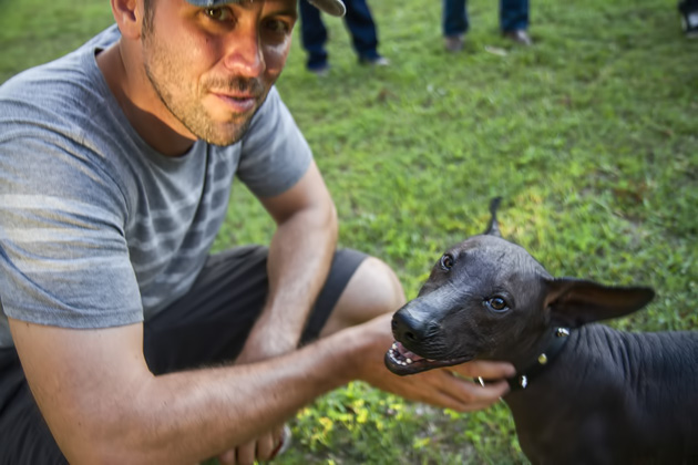 Xoloitzcuintle%20Dog%2001%2020131125%20for91days.com