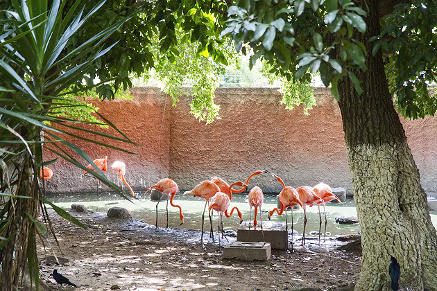 Zoo%20Merida%2017%2020131110%20for91days.com