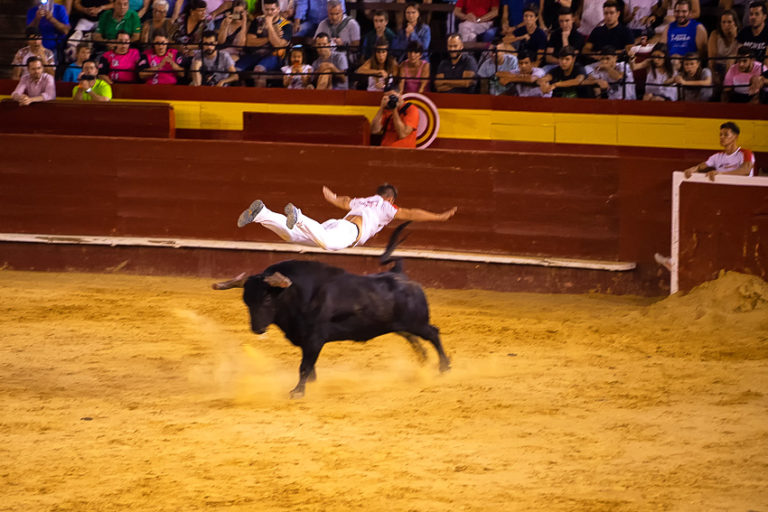 Read more about the article Recorte – Bull Jumping For The Gran Fira De Valencia 2018