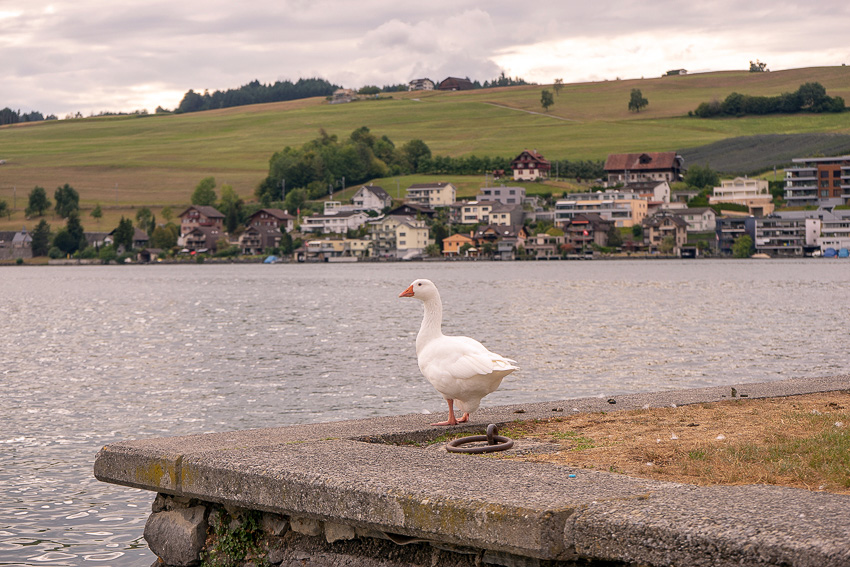 07 Lucerne Travel DSC02432