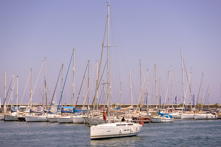 24 Valencia Harbor Bike Tour DSC01783