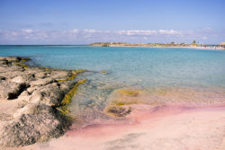 Pink Beach