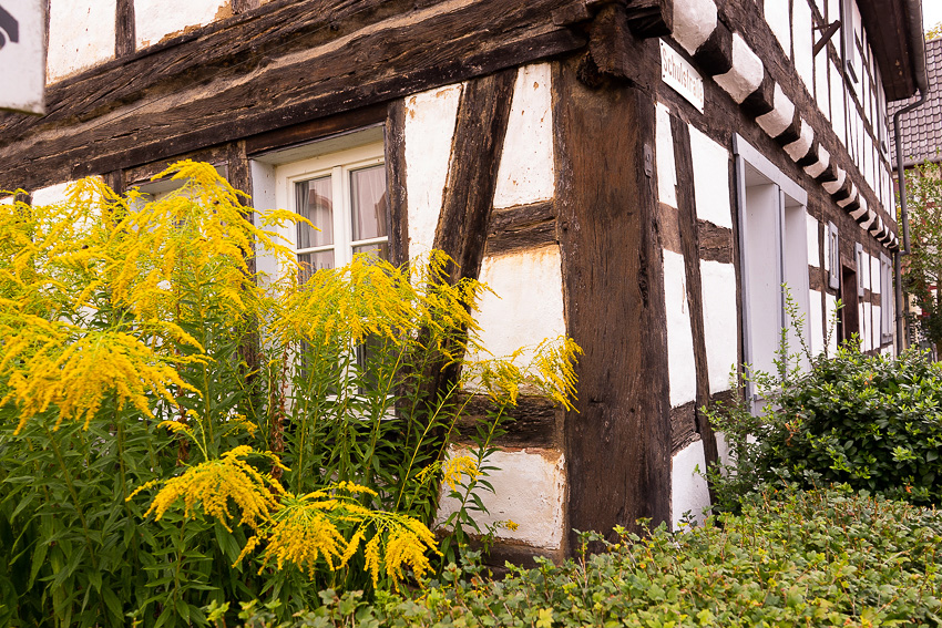 27 Bad Koenig Odenwald DSC03174 1