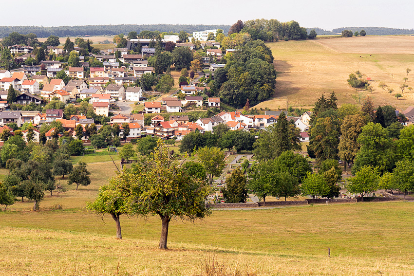 35 Bad Koenig Odenwald DSC03191