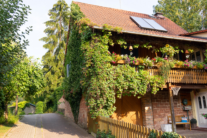 50 Bad Koenig Odenwald DSC03224