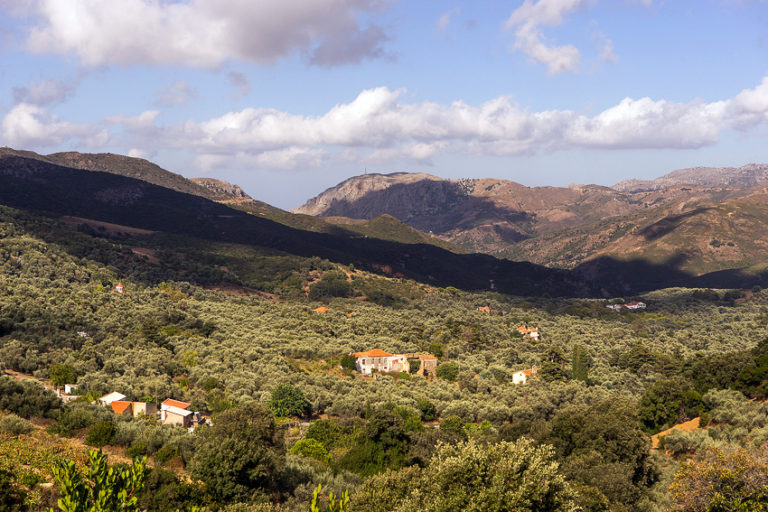 Read more about the article A Road-Trip from Chania into the Mountains