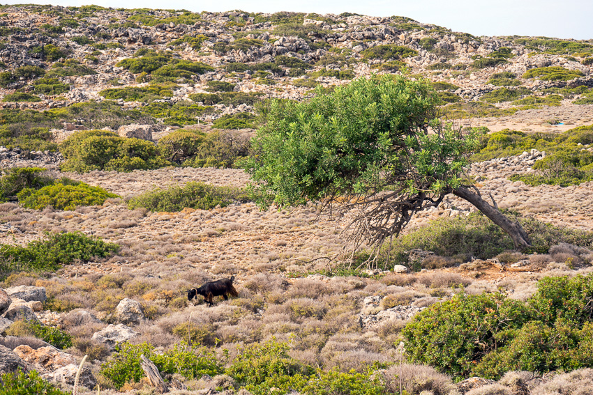 18 Second Day Loutro DSC05000