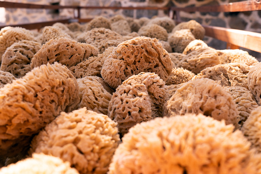 Kalymnos Sponges