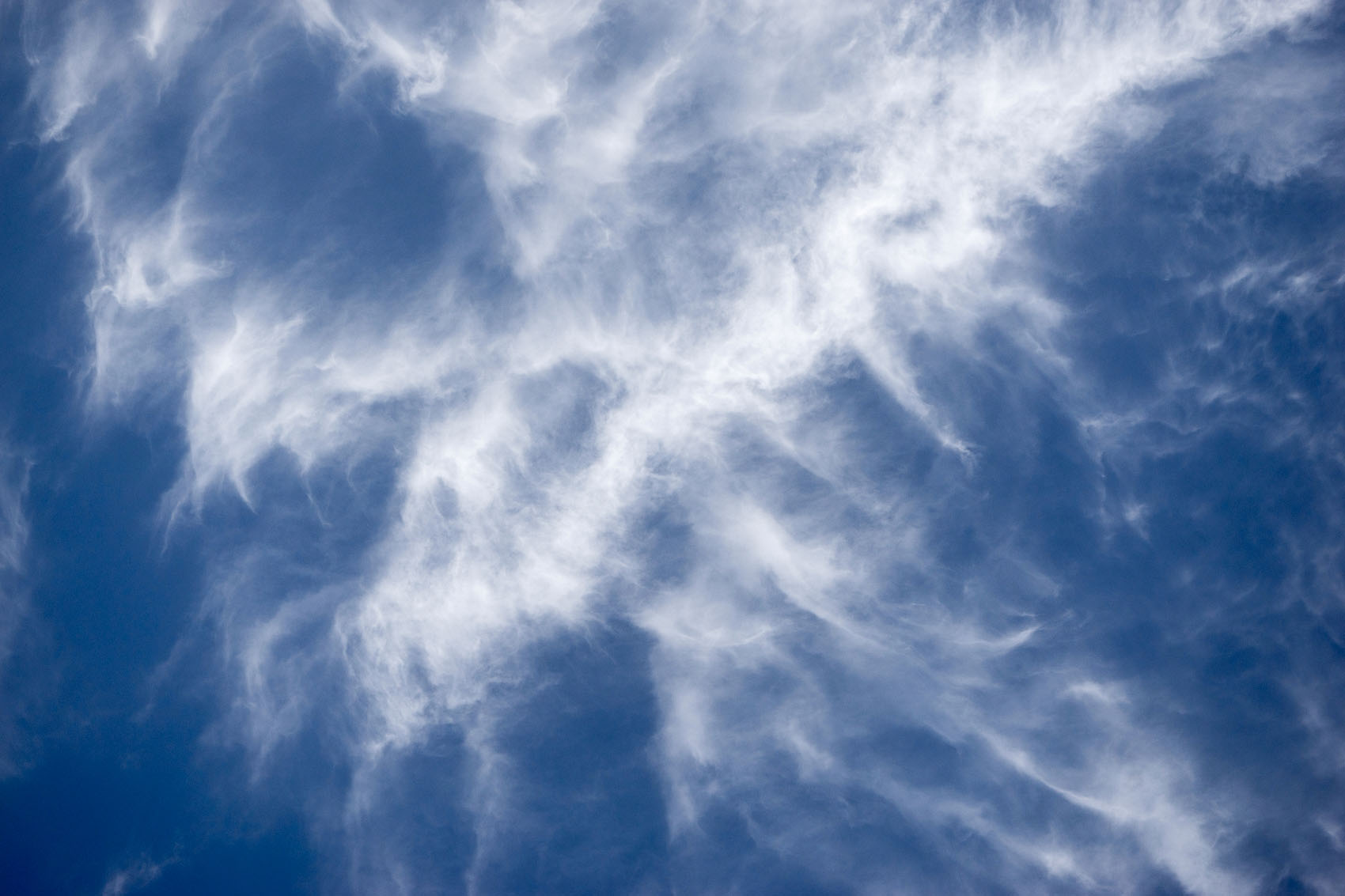 Fuzzy Clouds Valencia