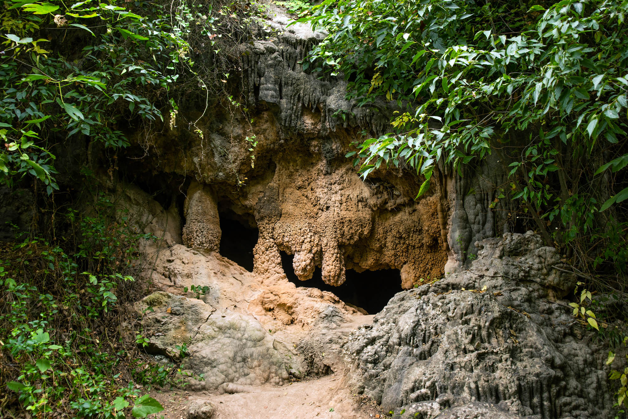 Cabrentà de Estubeny