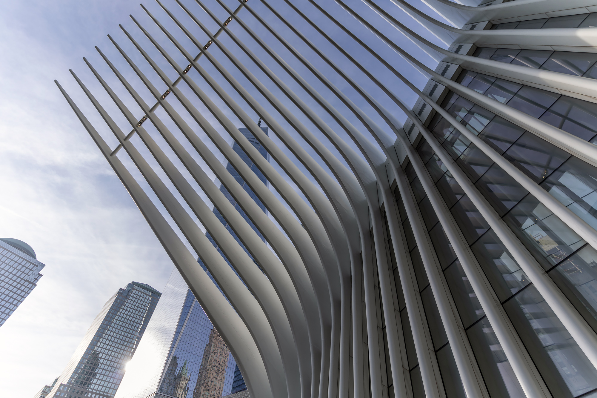 02 Calatrava World Trade Center Transportation Hub DSC09833