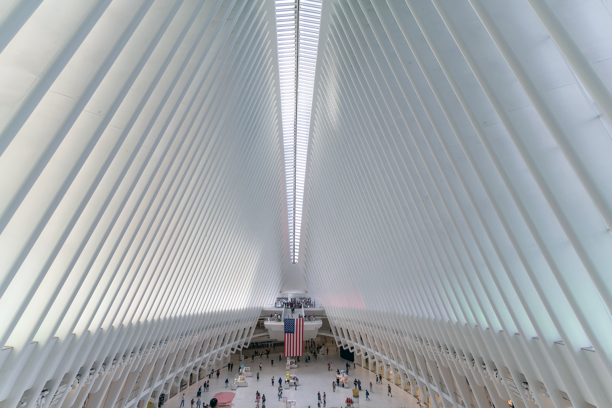 NYC Calatrava