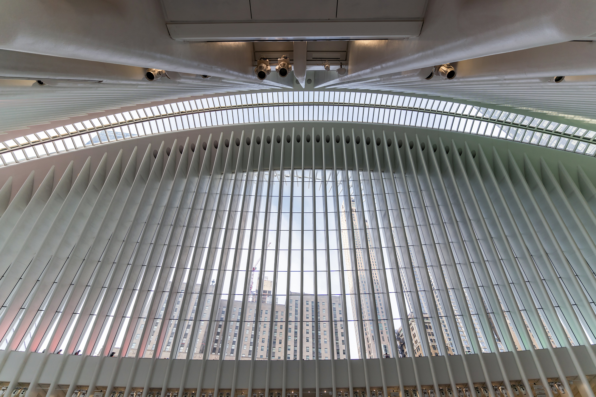 Screened View Calatrava