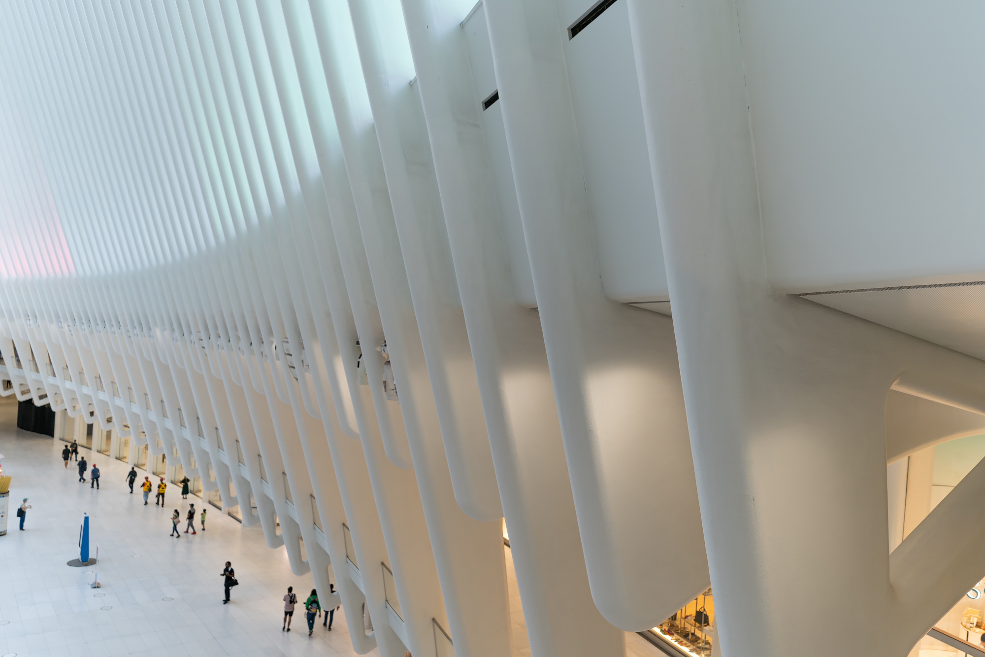 Calatrava Design New York City