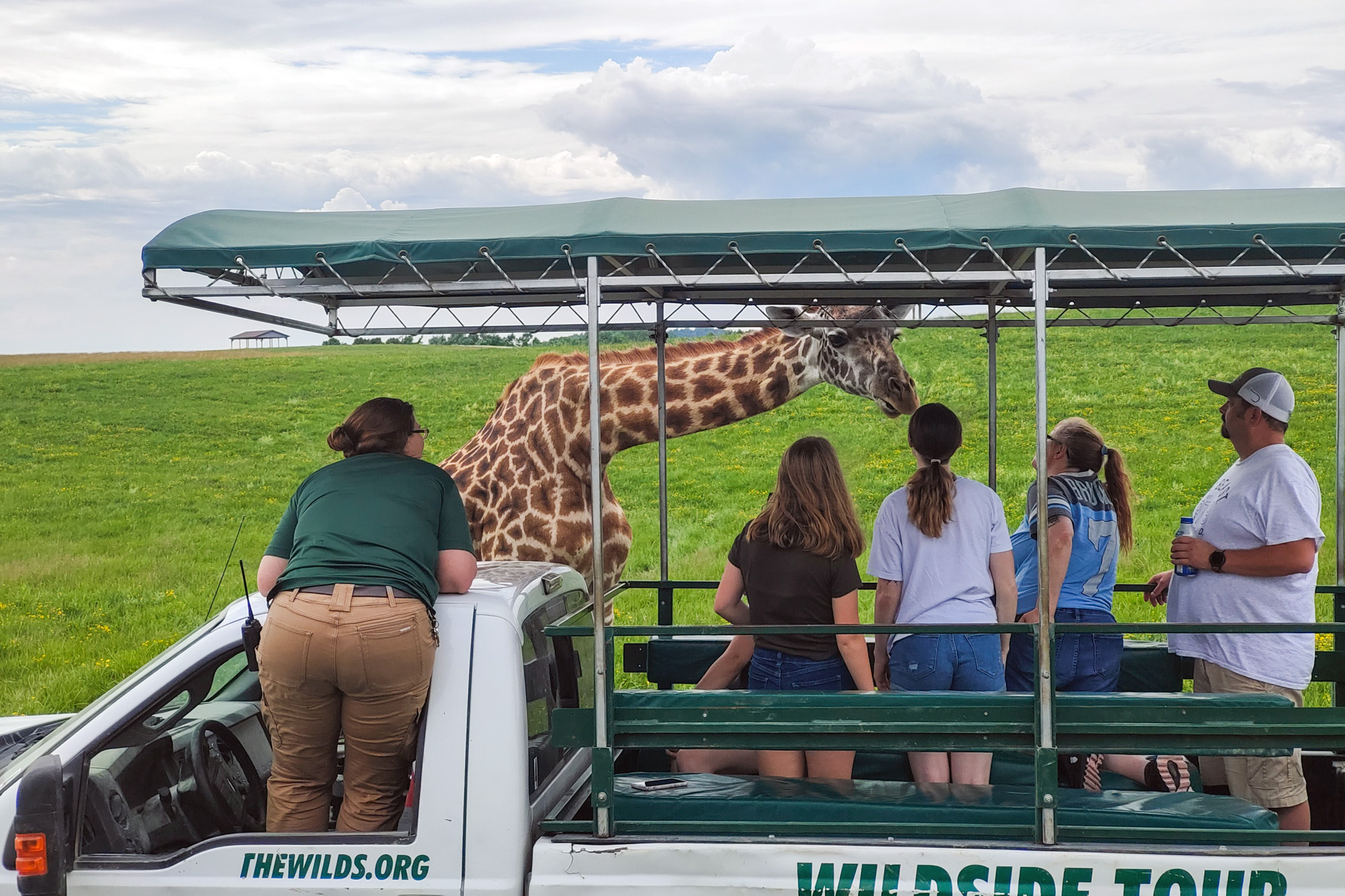 The Wilds Giraffe Wildside Tour Ohio