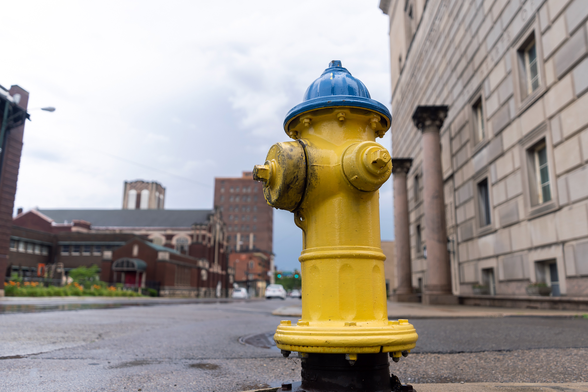 Yellow and blue fire hydrant Springfield Ohio
