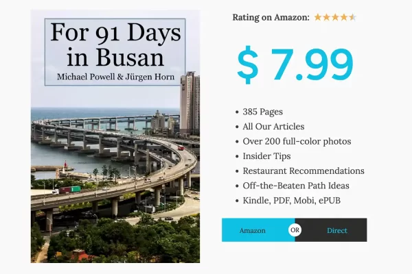 Busan Travel Book Price