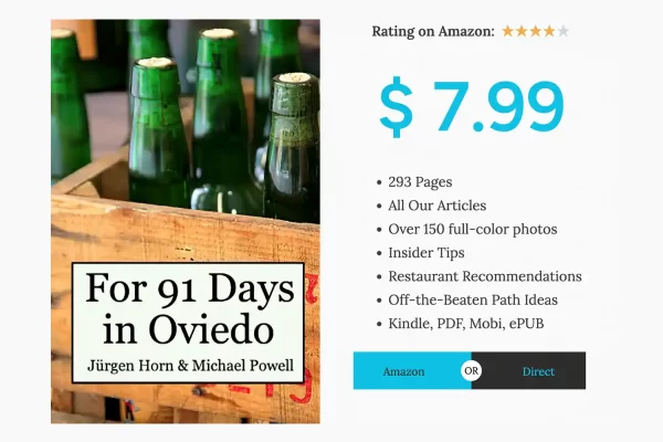 Oviedo Travel Book Price
