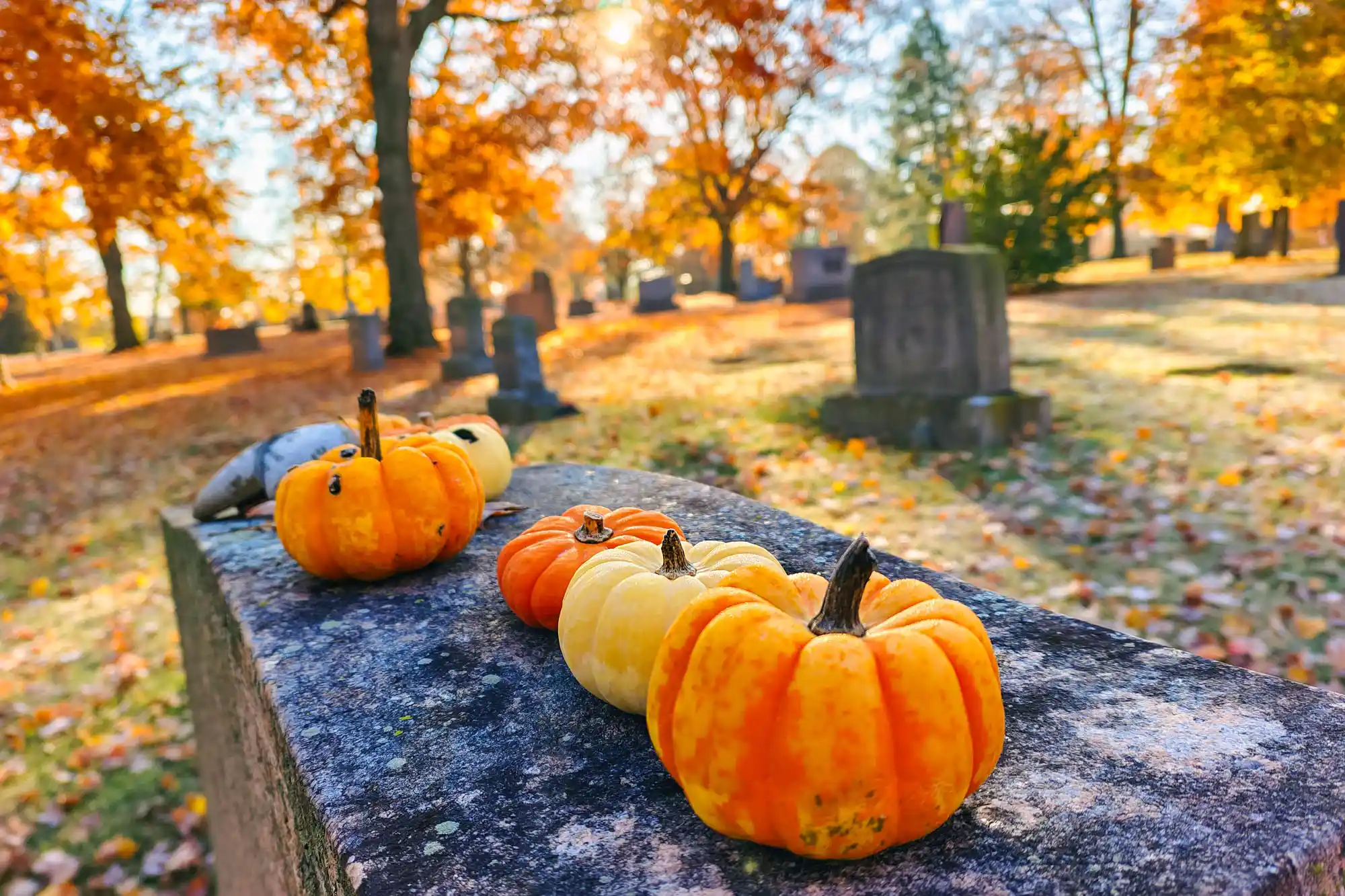 Fall Colors Ferncliff Cemetery