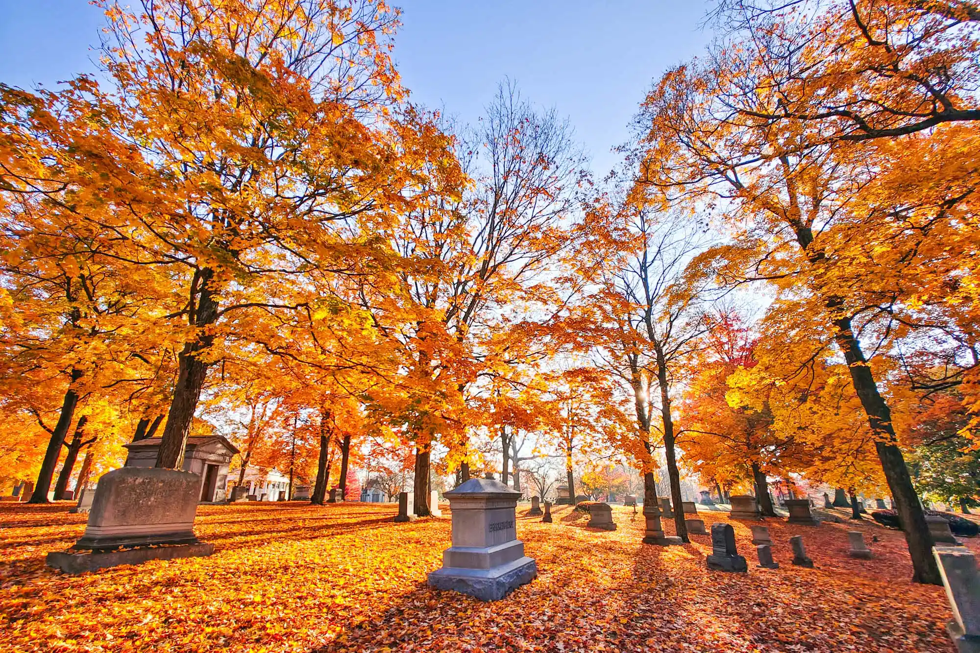 Best places to see fall colors in Springfield, Ohio