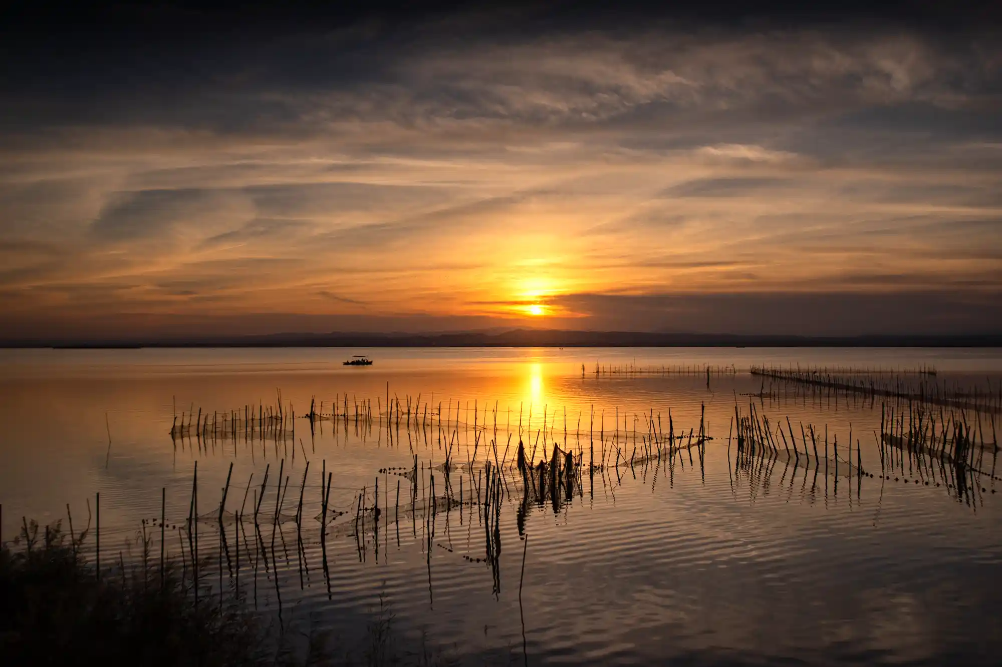 Albufera Lake Sunset