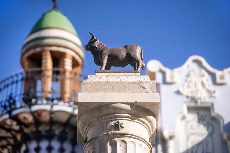 Teruel Bull