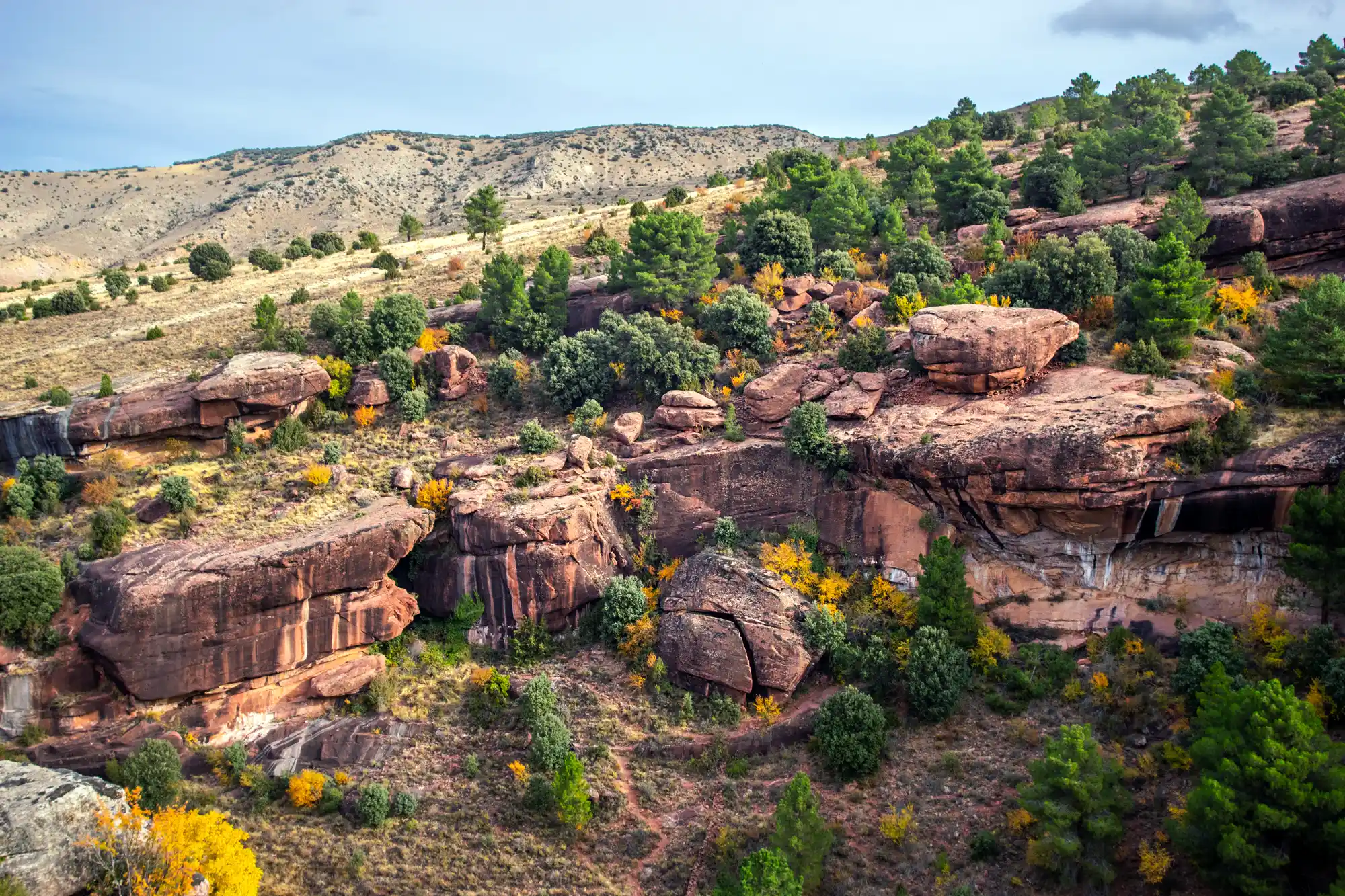 Pinares de Rodeno natural park near Abarracin