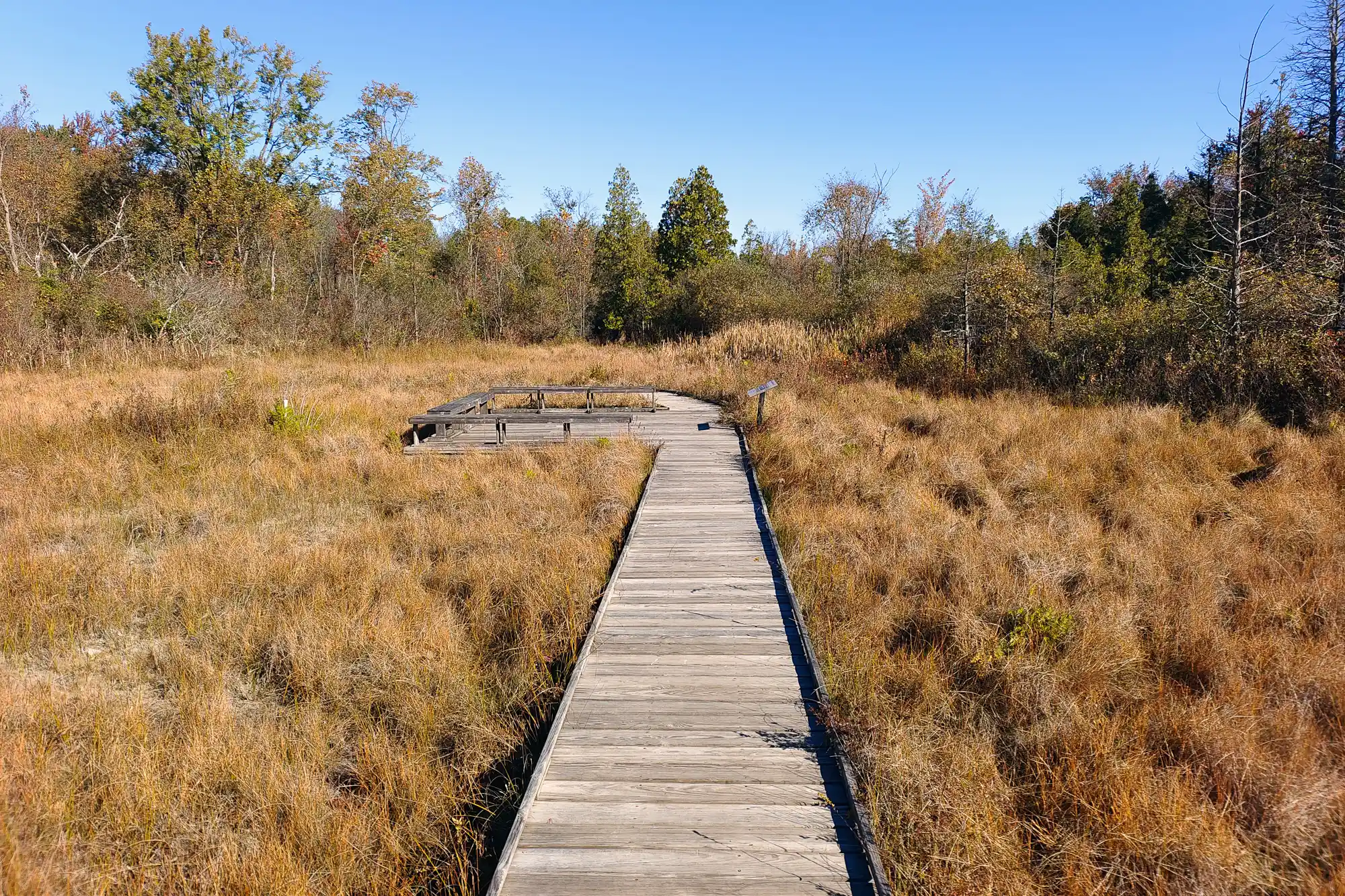 Cedar Bog Reserve Boardwalk