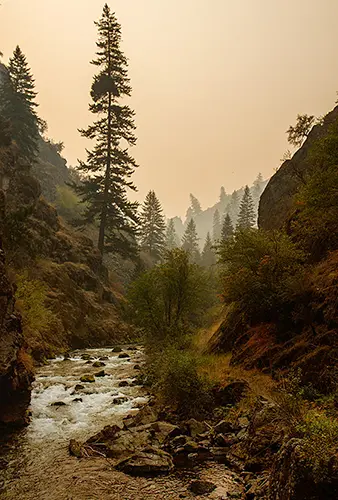 Idaho
