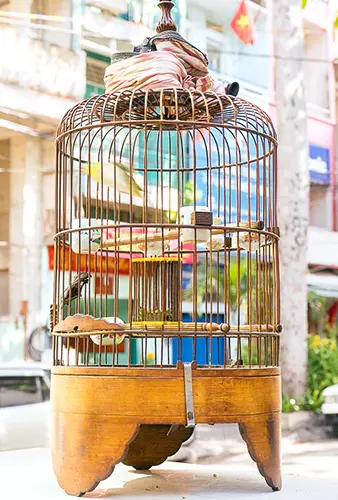 Saigon