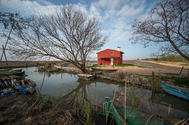 Albufera photo like a painting